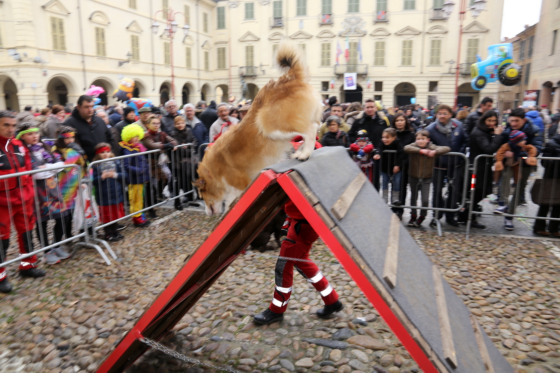 Carnevale 2016_169.JPG